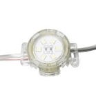 Bóng LED đúc - DIMO-PX-F30-MNC 24V